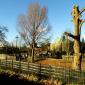 London Zoo based in Camden based Regent's Park
