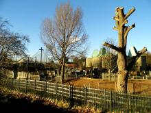 London Zoo in Camden