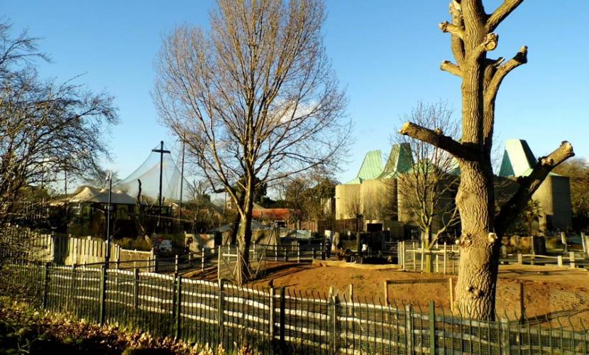 London Zoo based in Camden based Regent's Park